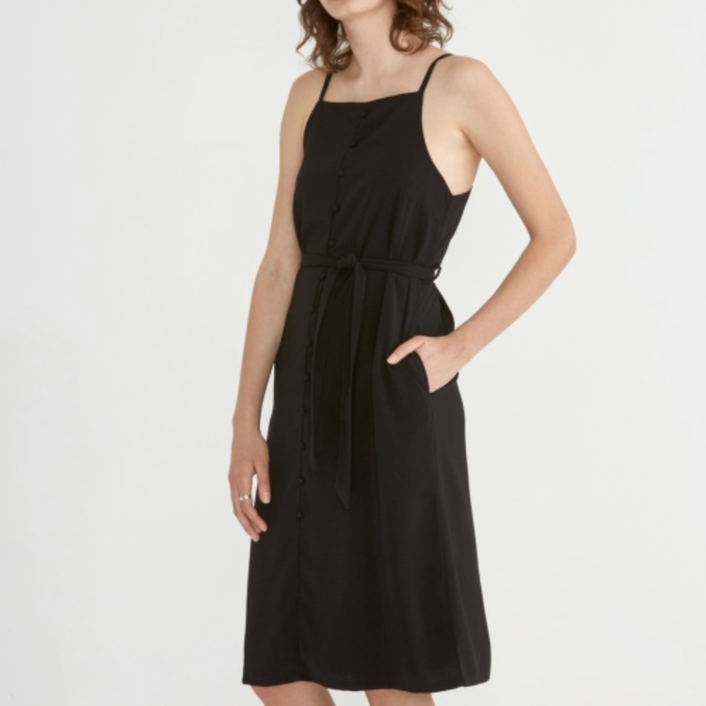 Frank and Oak Crepe Button Down Dress